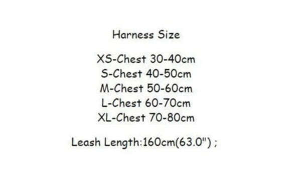 FURDI HARNESS AND LEAD