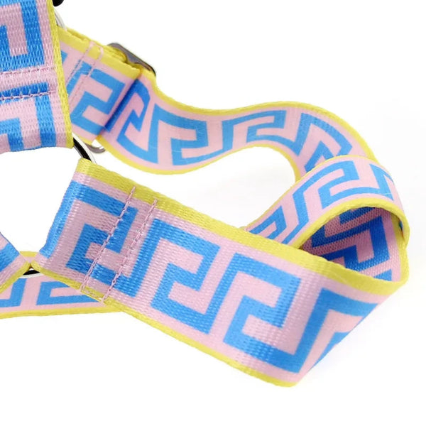 FURSACE HARNESS AND LEAD