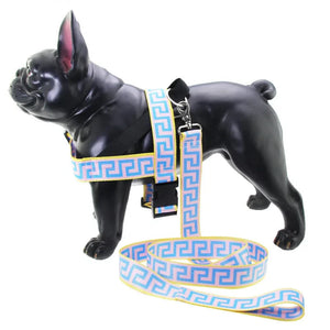 FURSACE HARNESS AND LEAD