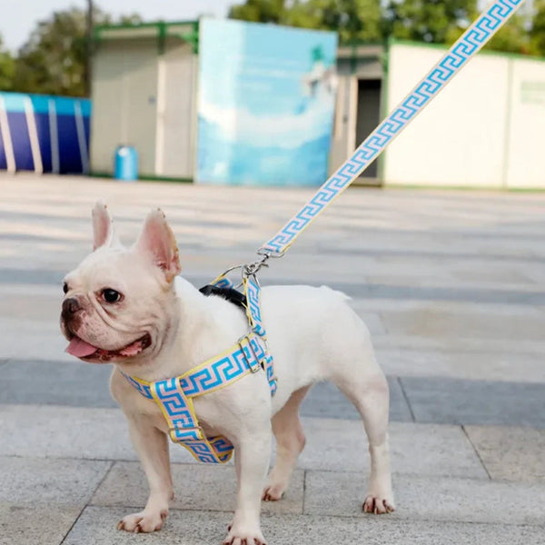 FURSACE HARNESS AND LEAD