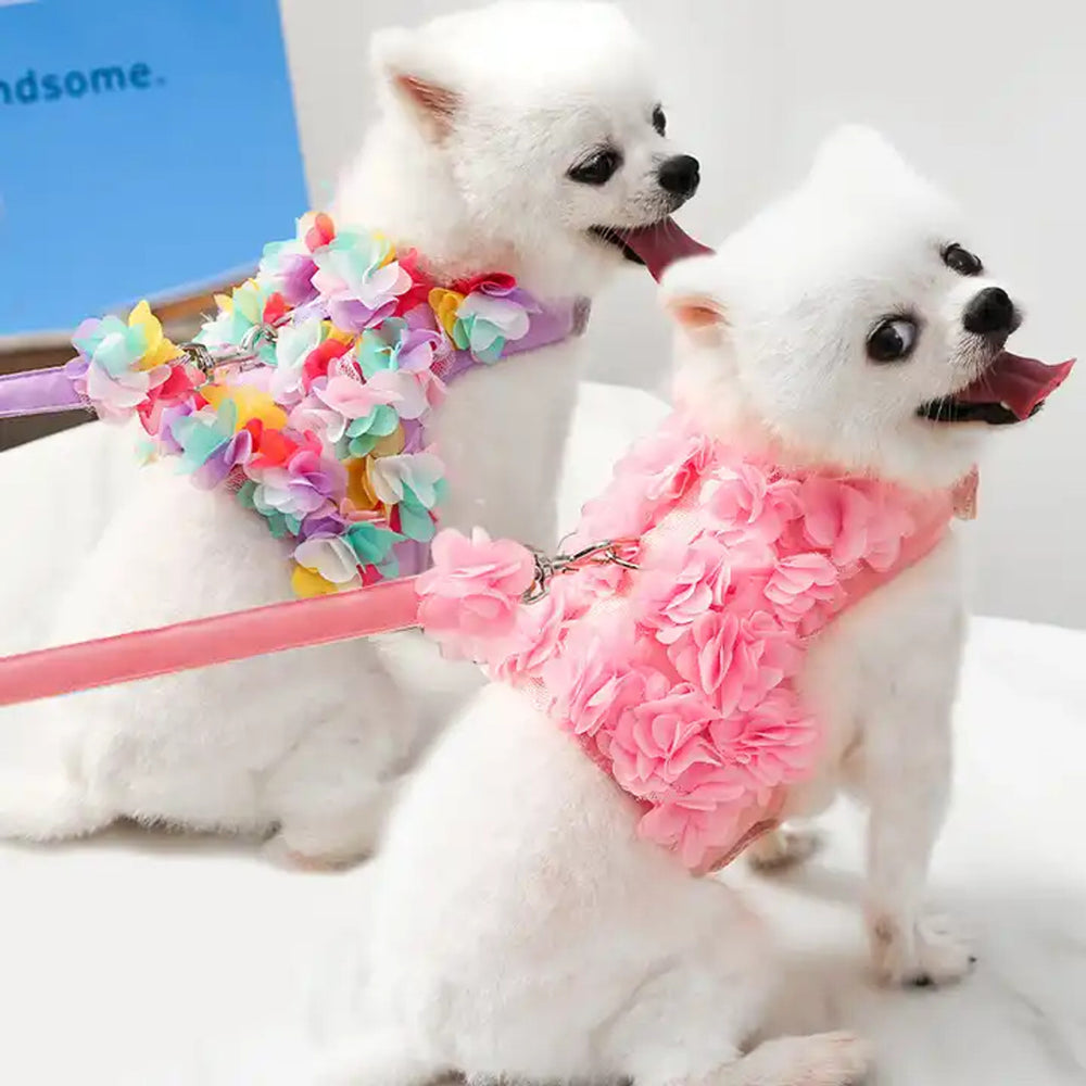 FLORAL HARNESS WALKING VEST LEAD SET