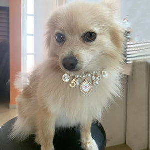 PET PRINCESS COCO BOW NECKLACE