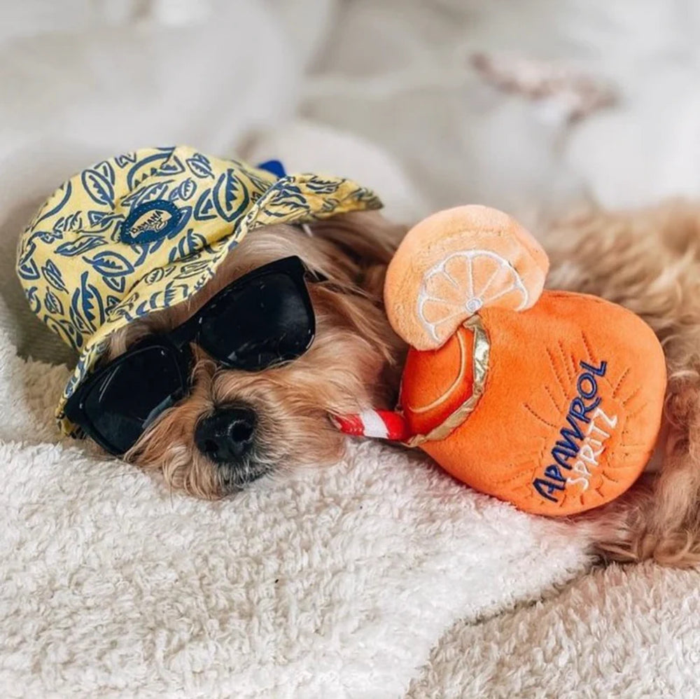 APAWROL SPRITZ DOG TOY