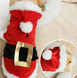 SANTA DOG OUTFIT