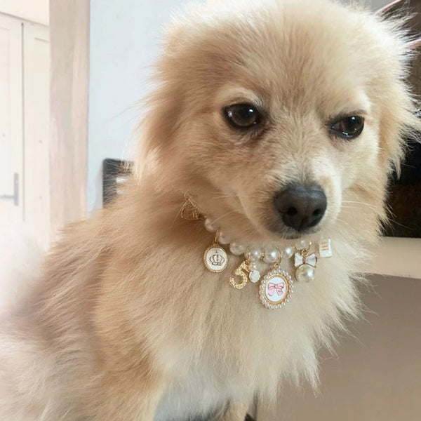 PET PRINCESS COCO BOW NECKLACE