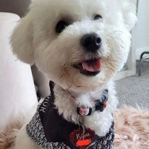 DOGGIOR RAINCOAT