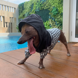DOGGIOR RAINCOAT