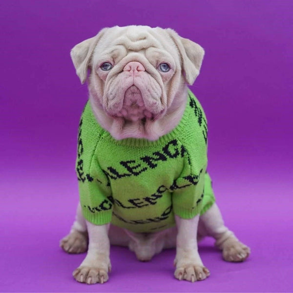 PAWLENCIAGA JUMPER