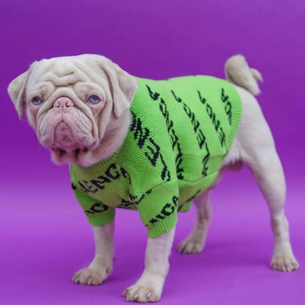 PAWLENCIAGA JUMPER