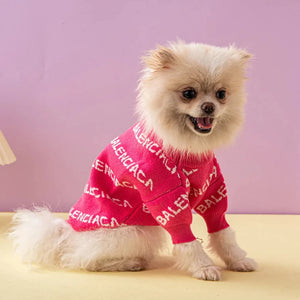 PAWLENCIAGA JUMPER