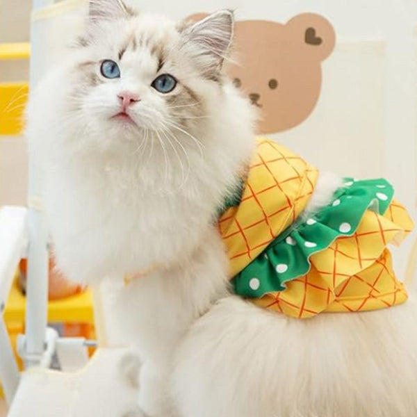 PINEAPPLE DOG BIKINI