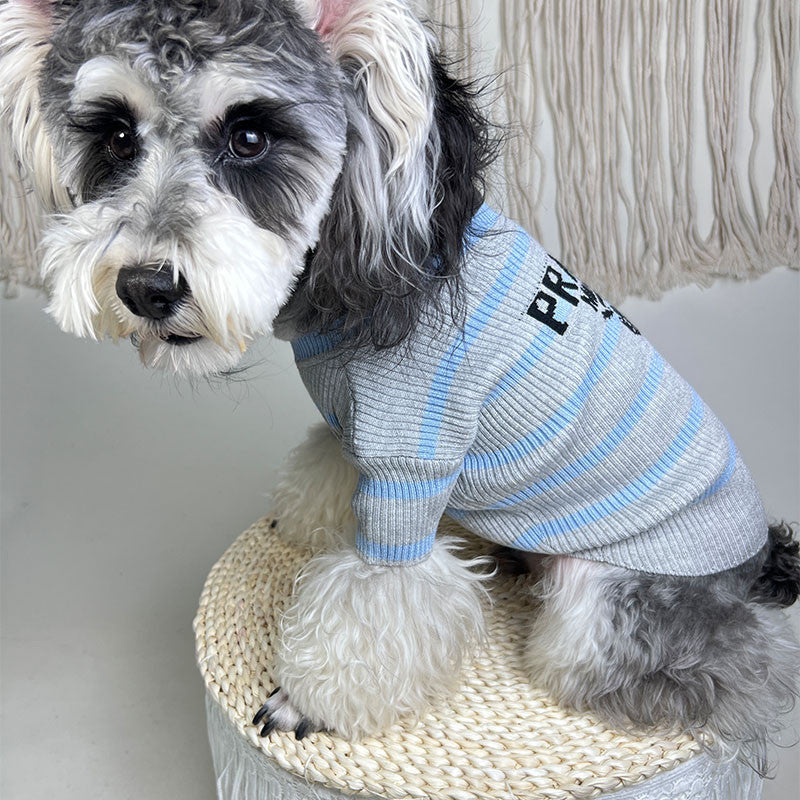 PAWDA KNIT JUMPER