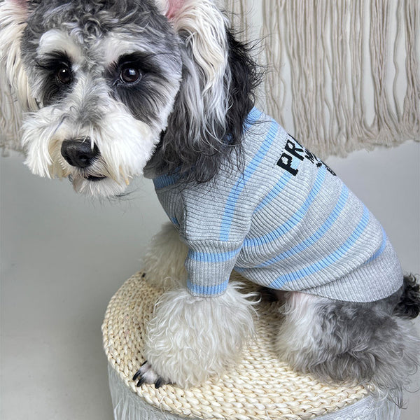 PAWDA KNIT JUMPER