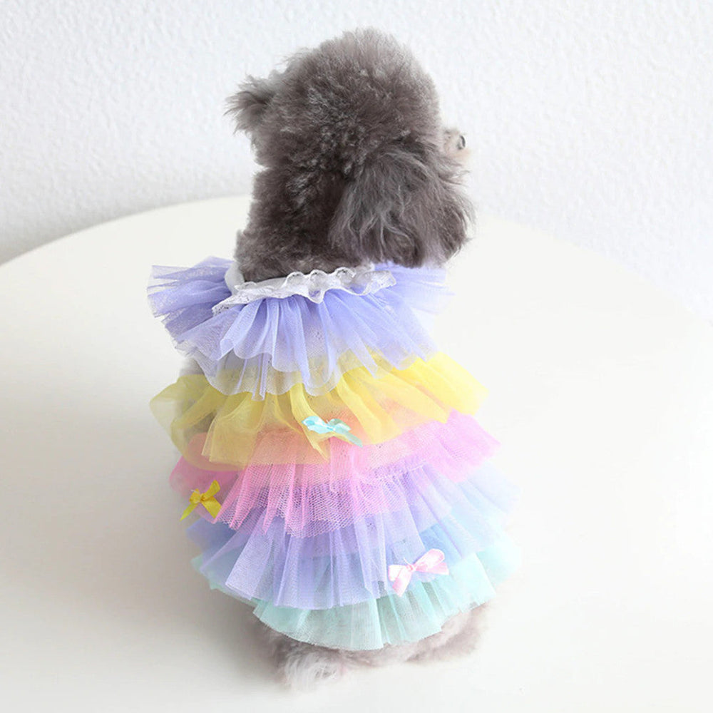 RAINBOW TULLE DRESS
