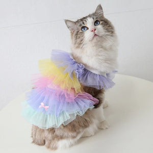 RAINBOW TULLE DRESS