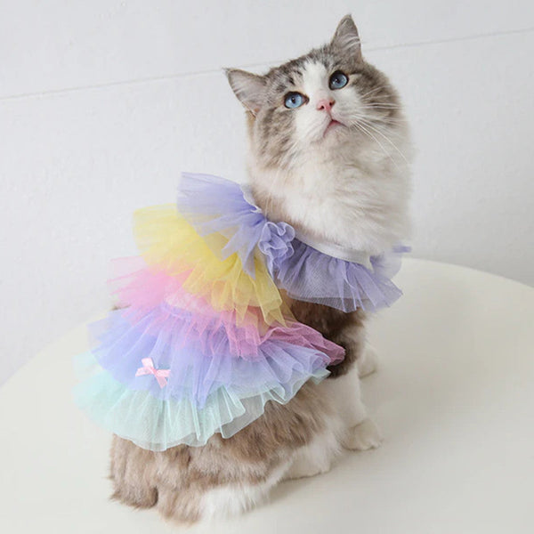 RAINBOW TULLE DRESS