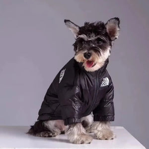 DOG FACE PUFFER JACKET