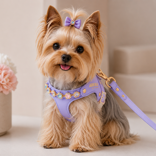 JEWEL BOX LUXURY DOG HARNESS & LEASH SET